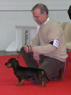 de ker ki douar - EXPOSITION INTERNATIONALE DE ANGERS