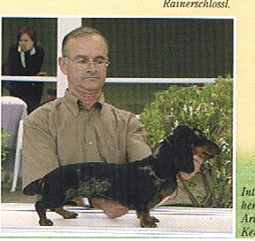 CH. Arlequine de ker ki douar