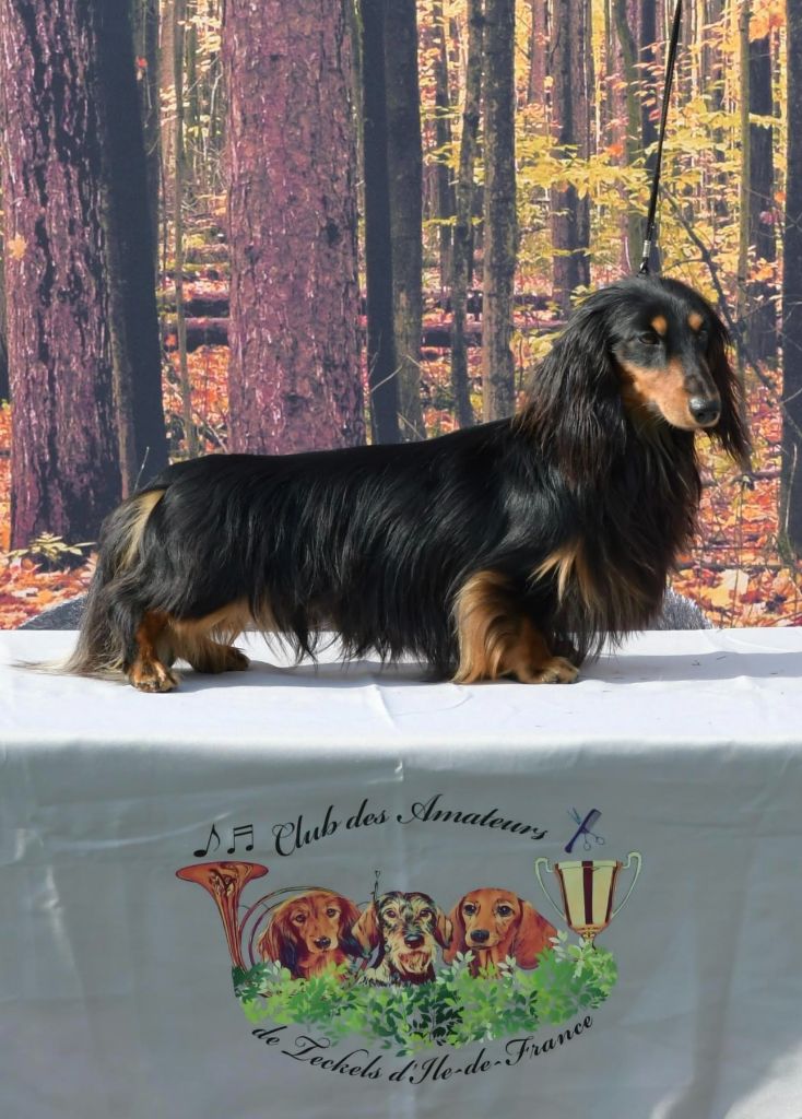 Toby tobias des Appalahuacs
