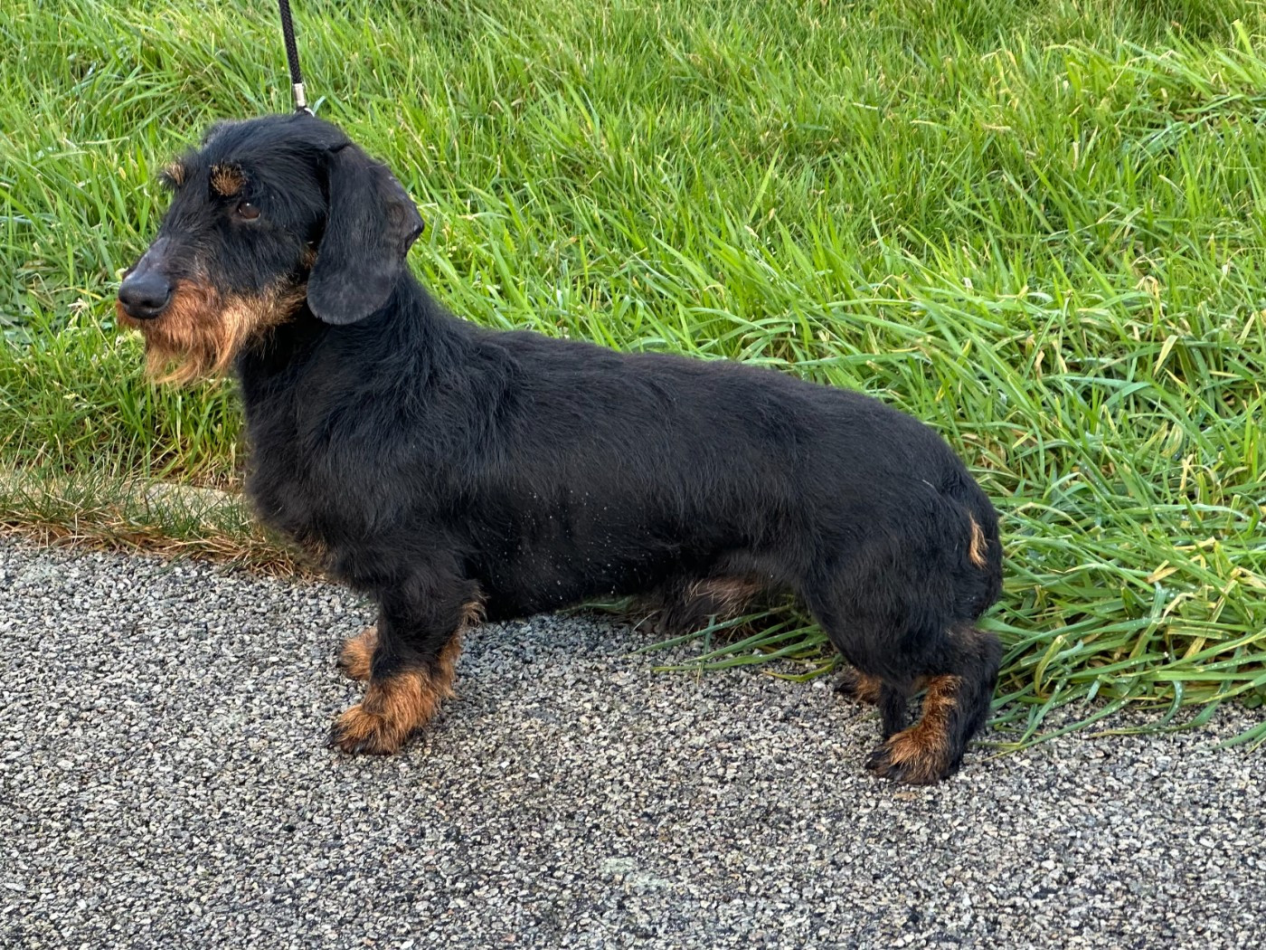 URF du Bois d'Achelles