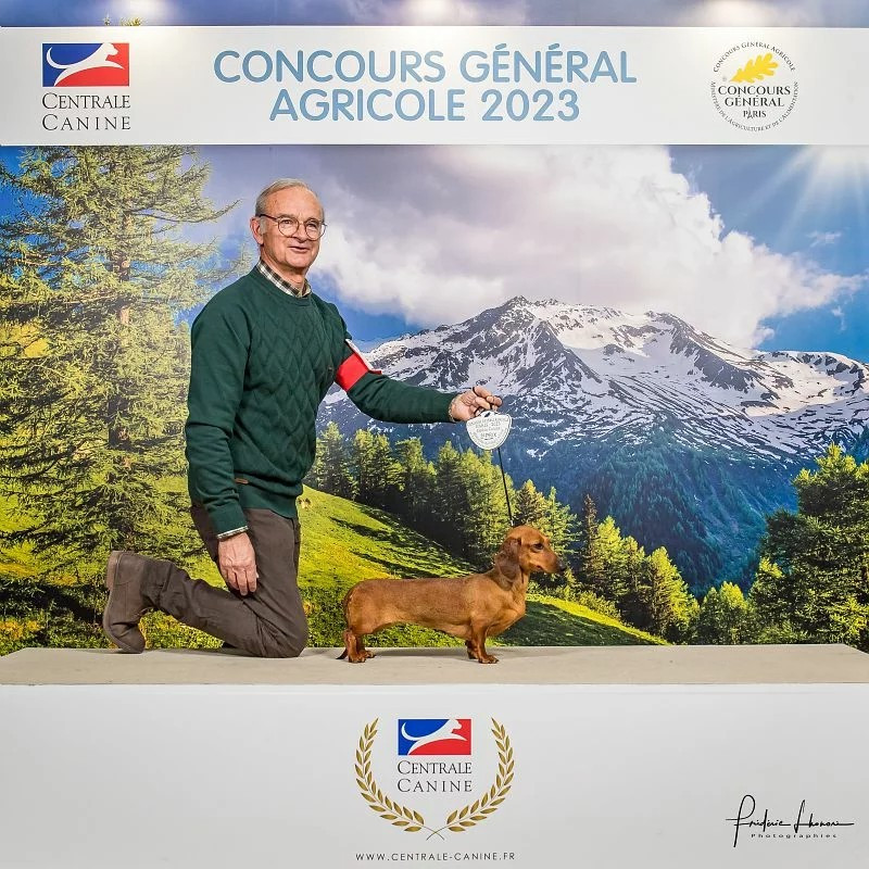 Rhea de ker ki douar