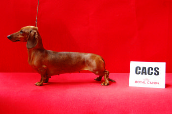 de ker ki douar - CONCOURS GENERAL AGRICOLE - PARIS