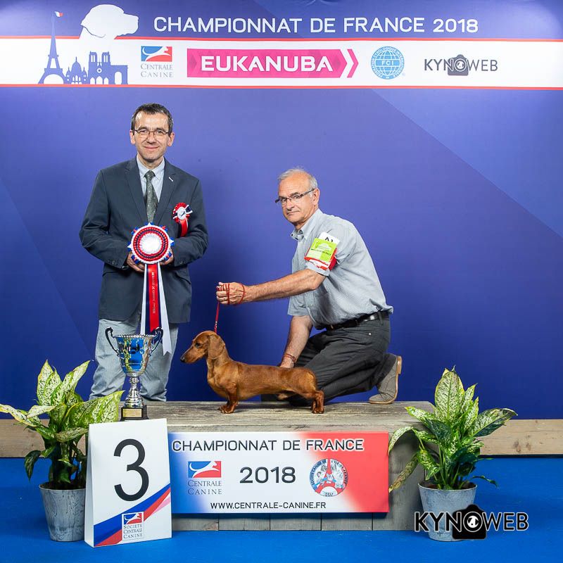 CHAMPIONNAT DE FRANCE 2018