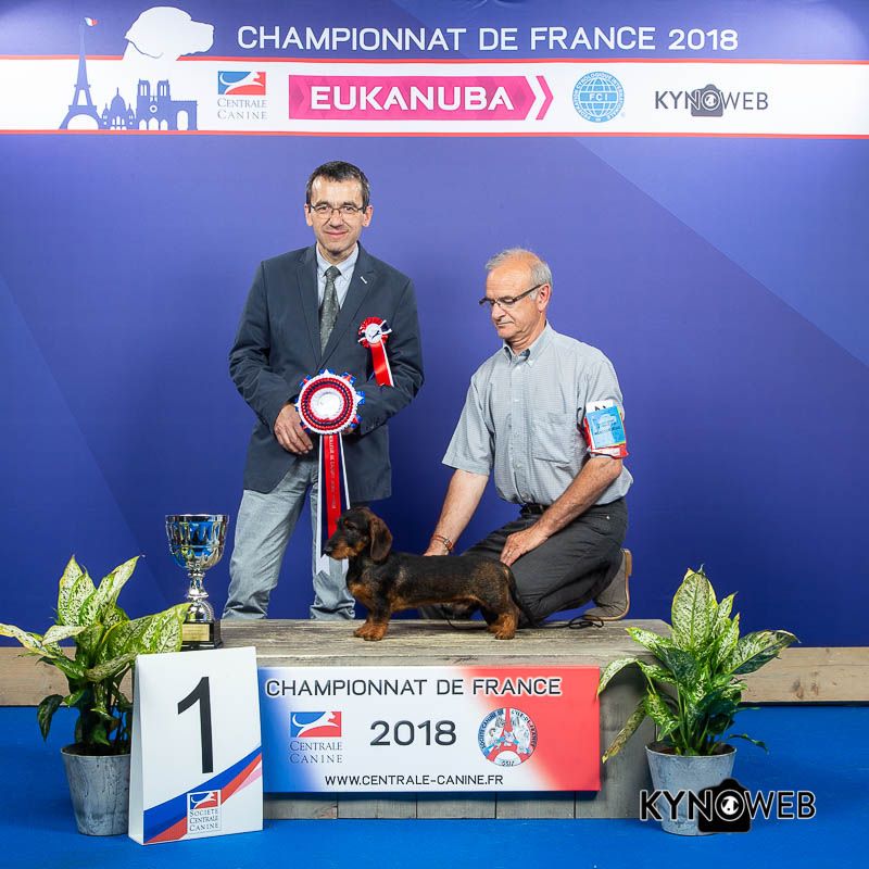 CHAMPIONNAT DE FRANCE 2018