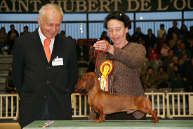 Les expositions
