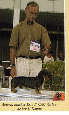 Exposition canine